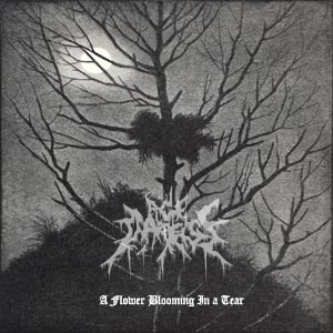 Age Of Darkness(Kor) - A Flower Blooming In A Tear (pro cdr)