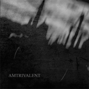 Lifeless Within / Negative or Nothing / Fliegend -Amtrivalent CD
