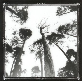 Ancestors Blood(Fin) - When the Forest Calls CD