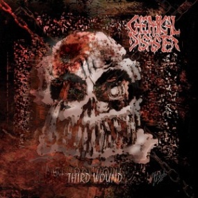 Chemical Disaster(Bra) - Third Wound CD