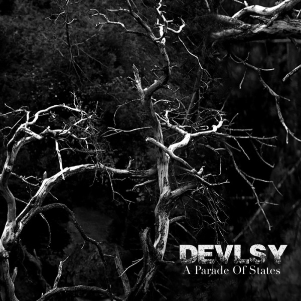 Devlsy(Ltu) - A Parade of States CD