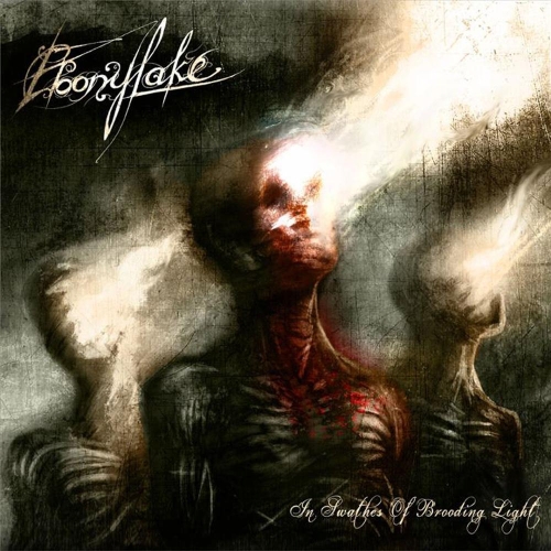 Ebonylake(UK) - In Swathes of Brooding Light CD