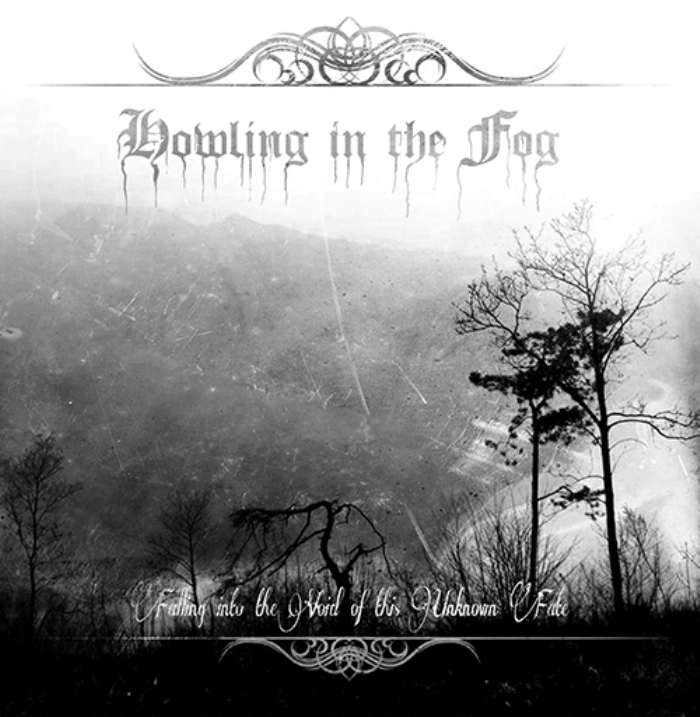 Howling in the Fog(Ita) - Falling into the Void of this...CD