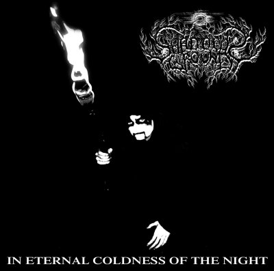 Shadows Ground(Ukr) - In Eternal Coldness of the Night CD